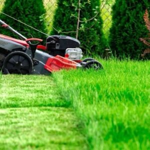 Basic Home Refresh
